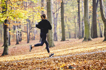 Junge Frau joggt im Herbstwald - BSZF01678