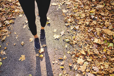 Junge Frau joggt im Herbstwald - BSZF01682