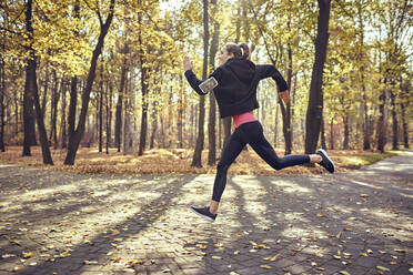 Junge Frau joggt im Herbstwald - BSZF01706