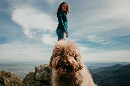 Niedlicher pelziger Labradoodle mit herausgestreckter Zunge steht in der Nähe einer Frau in den Bergen von Puerto de la Morcuera an einem bewölkten Tag in Spanien - ADSF14417