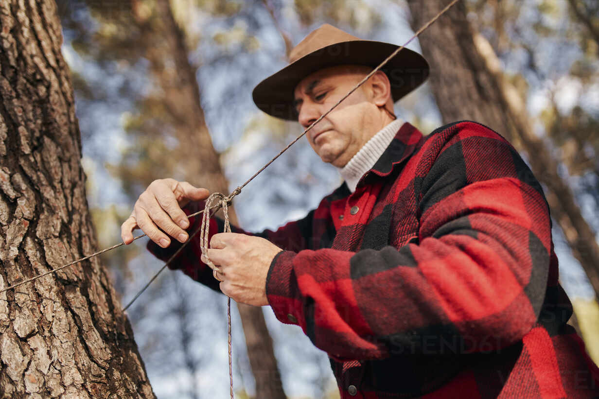 Bushcrafter tying rope to tree bark in forest stock photo
