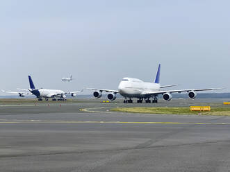 Airbus auf der Startbahn eines Flughafens bei klarem Himmel - WEF00468