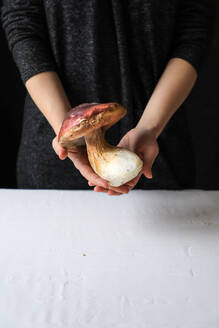 Großer Pilz mit fleischigem Hut und großem Rüssel in den Händen - ADSF14505