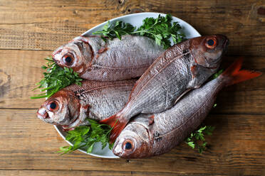 From above tasty fragrant fish decorated with parsley in white plate on wooden background - ADSF14508