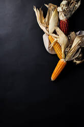 From above appetizing yellow and red raw corn with big dry husks on black background - ADSF14512