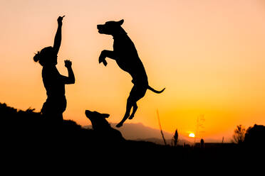 Silhouette einer Frau, die einen großen Hund in wilder Natur auf einem Hintergrund mit orangefarbener untergehender Sonne trainiert. Der Hund springt hoch für ein Leckerli - ADSF14570