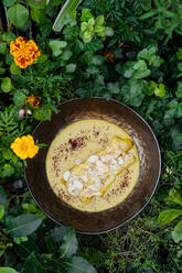 Draufsicht auf schmackhaftes Hühnerfilet mit Pilzen in Käsesauce in einer Schüssel, umgeben von Pflanzen und Blumen - ADSF14724
