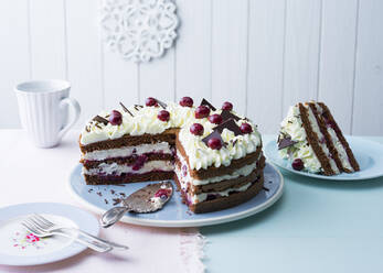 Plate with ready-to-eat Black Forest cake - PPXF00315