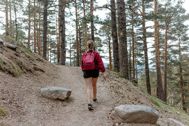 Back view of unrecognizable young woman backpacker walking on stony path among coniferous forest on mountain slope during hiking in Navacerrada in Spain - ADSF14955