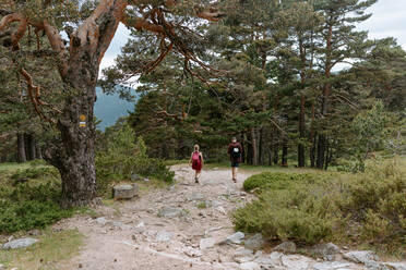 Rückenansicht eines nicht erkennbaren jungen Paares von Reisenden mit Rucksäcken, die auf einem Pfad zwischen grünen Wäldern und Bergen an einem Sommertag in Navacerrada in Spanien wandern - ADSF14958
