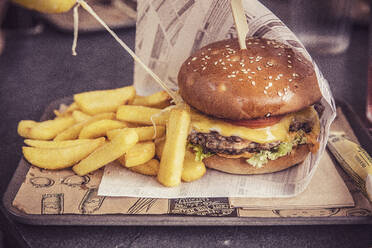 Hamburger mit Pommes frites - DHEF00368