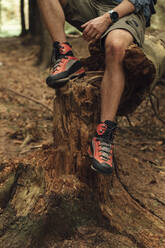 Close-up of mid adult man legs wearing hiking boot while sitting on wood in forest - BOYF01540