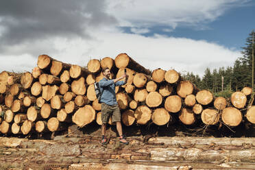 Mittlerer erwachsener Mann, der mit seinem Smartphone fotografiert, während er am Holzstapel im Wald steht - BOYF01554