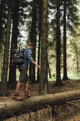 Male hiker with backpack walking on log against trees in woodland - BOYF01591