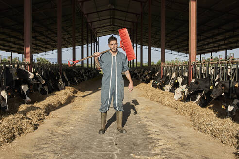 Farmer carrying shovel on shoulder while standing in cattle surrounded by herd of cows - VEGF02867