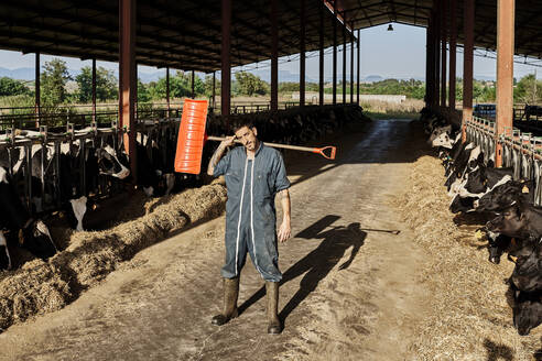 Contemplating farmer carrying shovel on shoulder while standing in cattle surrounded by herd of cows - VEGF02870