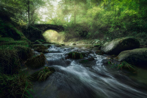 Enger Fluss mit kleinem Wasserfall und steinigem Ufer, der durch einen nebligen Wald mit grünen Bäumen und einer alten Steinbrücke fließt - ADSF15053