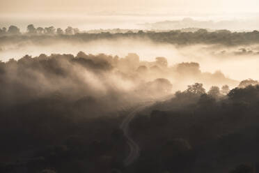 Drone view of endless hilly terrain covered with green trees under clouds and fog in Toledo - ADSF15063