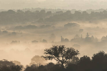 Drone view of mystery landscape with hills covered with trees located in countryside in foggy day in Toledo - ADSF15064