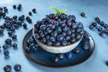 Fresh blueberries with green leaves in a bowl - ADSF15103