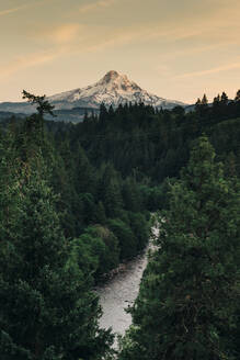 Ein Blick auf den Mt. Hood und den Hood River bei Sonnenuntergang. - CAVF88725