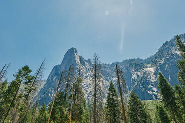 Views of Yosemite National Park in the Summer in northern california. - CAVF88732