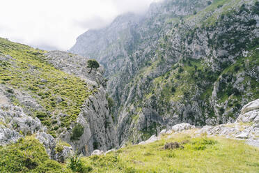 Berge der Ruta Del Cares, Asturien, Spanien - DGOF01394