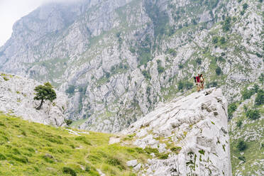 Mann und Frau stehen auf einem Berggipfel an der Ruta Del Cares, Asturien, Spanien - DGOF01414