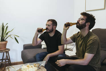 Male friends drinking beer while watching sports in living room at home - XLGF00476