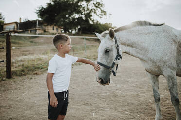 Junge, der ein weißes Pferd streichelt, während er in einer Scheune bei Sonnenuntergang steht - GMLF00587