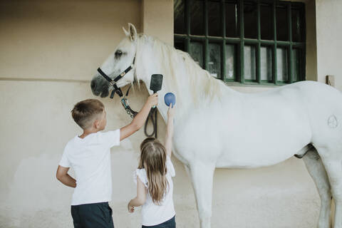 Siblings brushing white horse while standing by wall stock photo