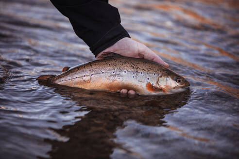 Fischer, der gefangene Fische im Fluss freilässt - DHEF00388