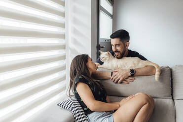 Couple looking at cat while sitting on sofa - SASF00067