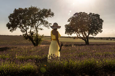 Rückenansicht einer romantischen Frau mit Hut und gelbem Kleid, die den malerischen Anblick eines Lavendelfeldes an einem sonnigen Tag genießt - ADSF15266