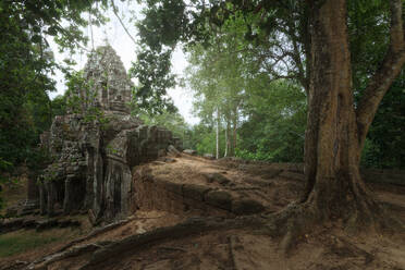 Niedrige Winkel der wunderbaren Landschaft der alten buddhistischen Tempel mit riesigen Baumwurzeln bedeckt und befindet sich im Dschungel in Kambodscha - ADSF15396