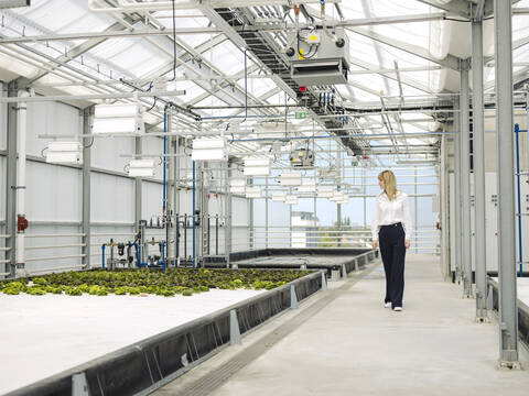 Female owner analyzing plants while walking in greenhouse stock photo
