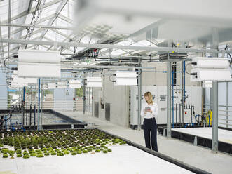 Female owner with digital tablet examining plants in greenhouse - JOSEF01649