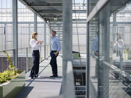 Colleagues wearing masks discussing while standing on footbridge in greenhouse - JOSEF01666