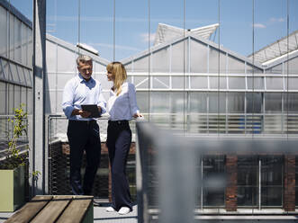 Colleagues discussing over digital tablet while standing against window in greenhouse - JOSEF01671