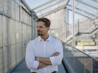 Thoughtful businessman with arms crossed looking away while standing in greenhouse - JOSEF01684