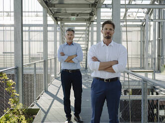 Confident male colleagues with arms crossed standing on footbridge in plant nursery - JOSEF01694