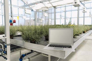 Laptop on equipment against plants in garden center - JOSEF01722