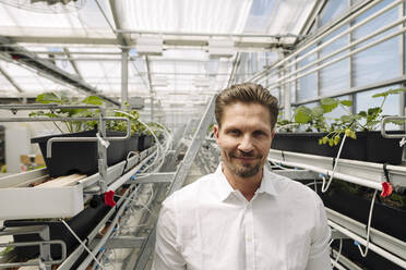 Smiling male entrepreneur standing amidst plants growing in greenhouse - JOSEF01733