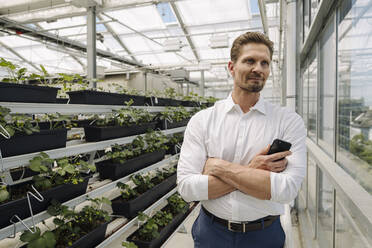 Male entrepreneur with arms crossed contemplating while standing by plants in greenhouse - JOSEF01737