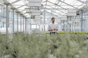 Male entrepreneur standing amidst plants while working in greenhouse - JOSEF01744