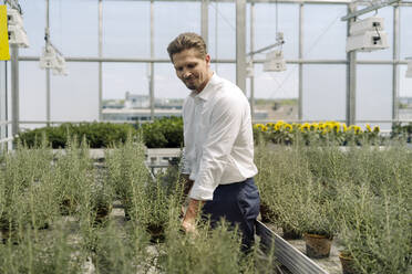 Lächelnder männlicher Unternehmer, der in einer Gärtnerei Topfpflanzen untersucht - JOSEF01748