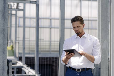 Businessman using digital tablet while standing in greenhouse - JOSEF01751