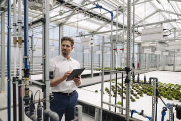 Male professional with digital tablet examining irrigation equipment in greenhouse - JOSEF01758