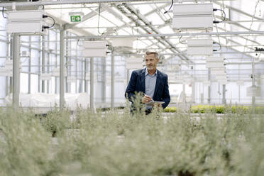 Male professional with digital tablet examining plants growing in greenhouse - JOSEF01788