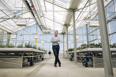 Male professional with arms crossed standing in greenhouse - JOSEF01794